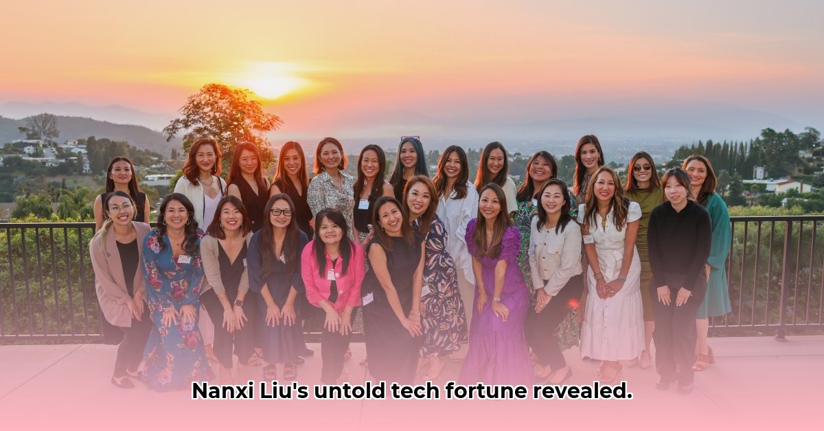 nanxi-liu-net-worth